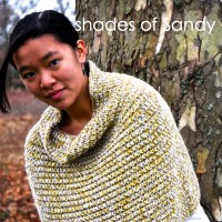 shades of Sandy.001-001